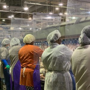 The Workers Left Unprotected
