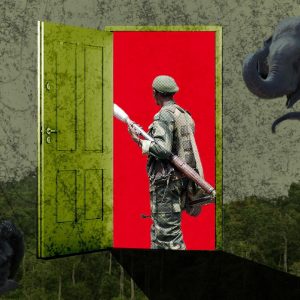 Exposed: ‘Wildlife Conservation’ Groups Fuel Violence Against Congolese Villagers, w/ Robert Flummer