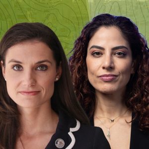 ‘Hypocrites!’ Krystal Ball Torches Dem Leaders on Israel