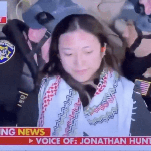 Shades of Peril: Sinophobia, Anti-Palestinian Racism and the War on Universities