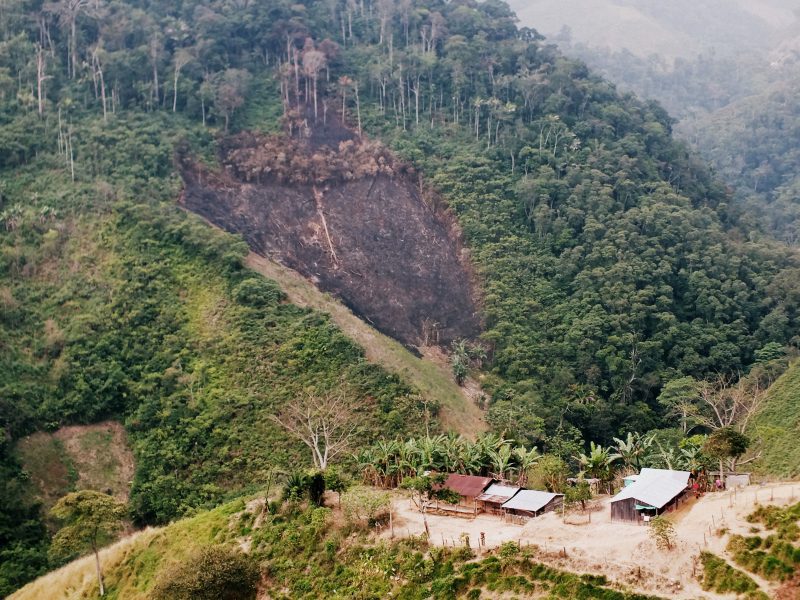 Reports from Catatumbo: “The state wants to exterminate the peasants”