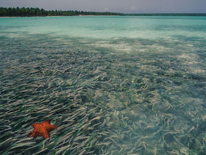 Nature at its most perilous state ever, says IPBES Global Assessment Report