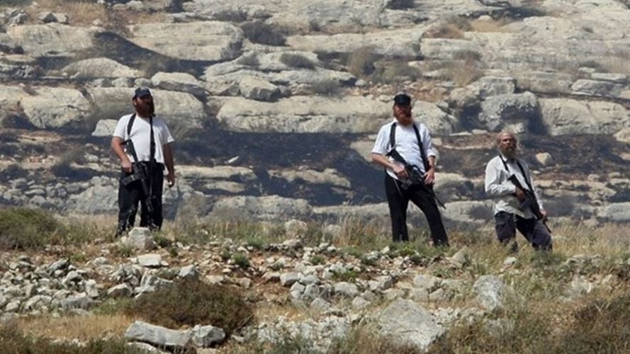 Palestinian human rights group seeks investigation into violence from illegal Yitzhar settlement