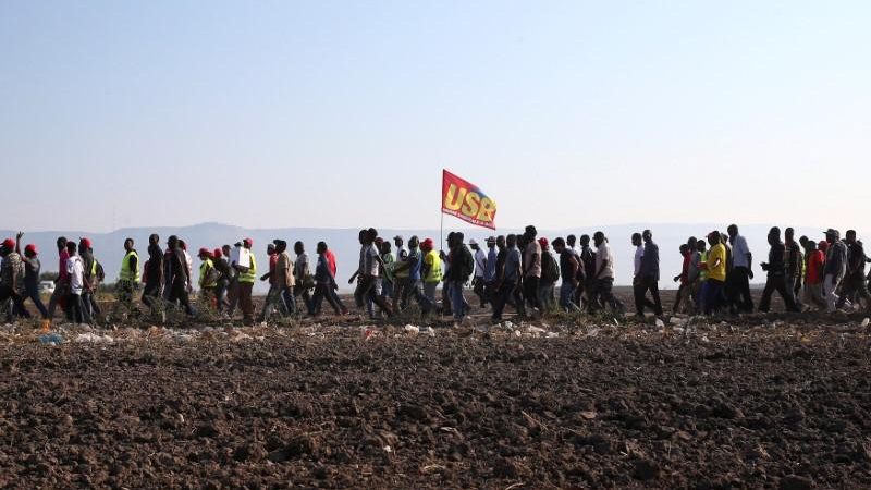 From fields to supermarkets, solidarity with laborers on strike