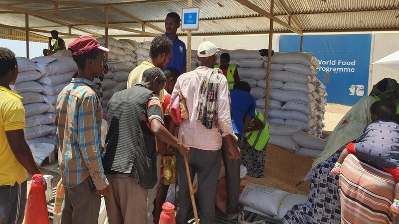 Farmers killed across Sudan’s agricultural heartland while hunger engulfs the war-torn country