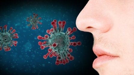 How does COVID-19 causes the loss of smell?