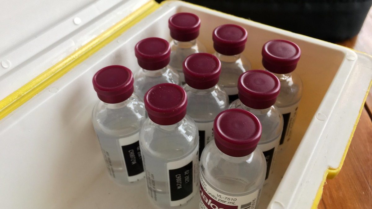 Access to insulin: A tale of 100 years of disparity