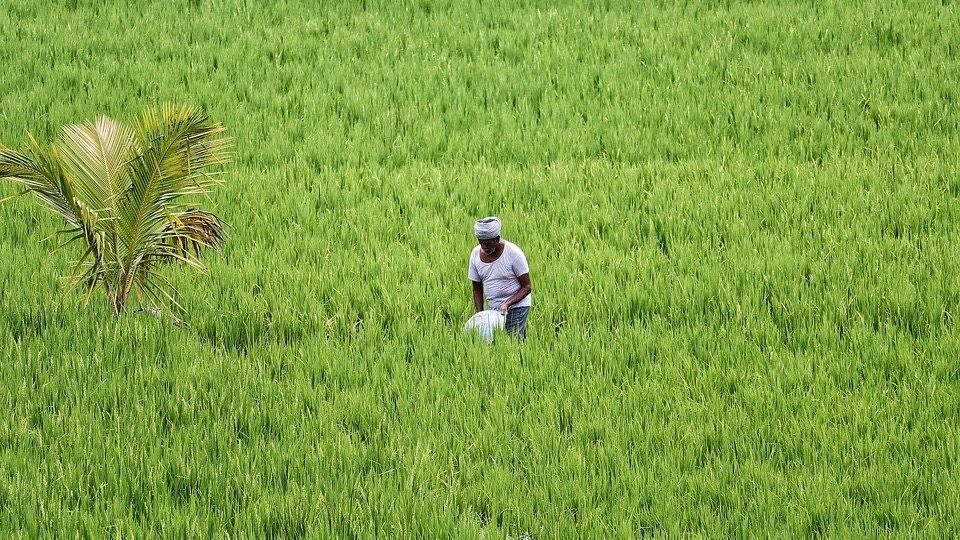 Agricultural Workers in India