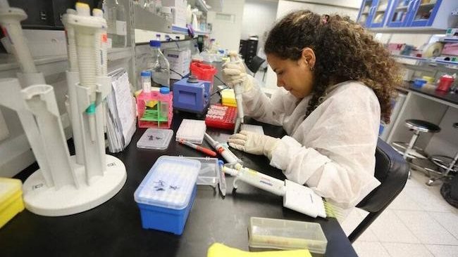 Access, equity and solidarity: the foundations of Cuba's health system