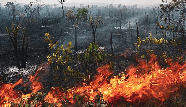 Thick smoke from human-caused fires in the Amazon spreads across South America