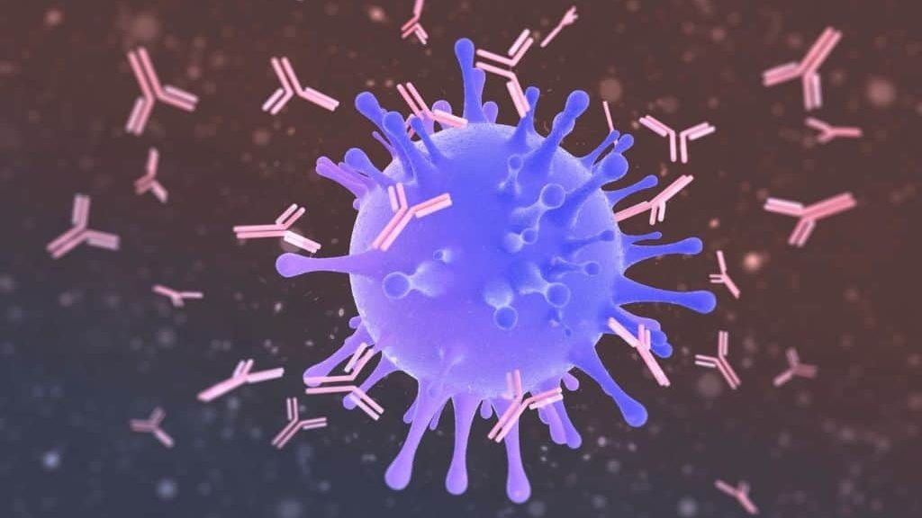 COVID-19: Autoantibodies can cause severe disease and deaths