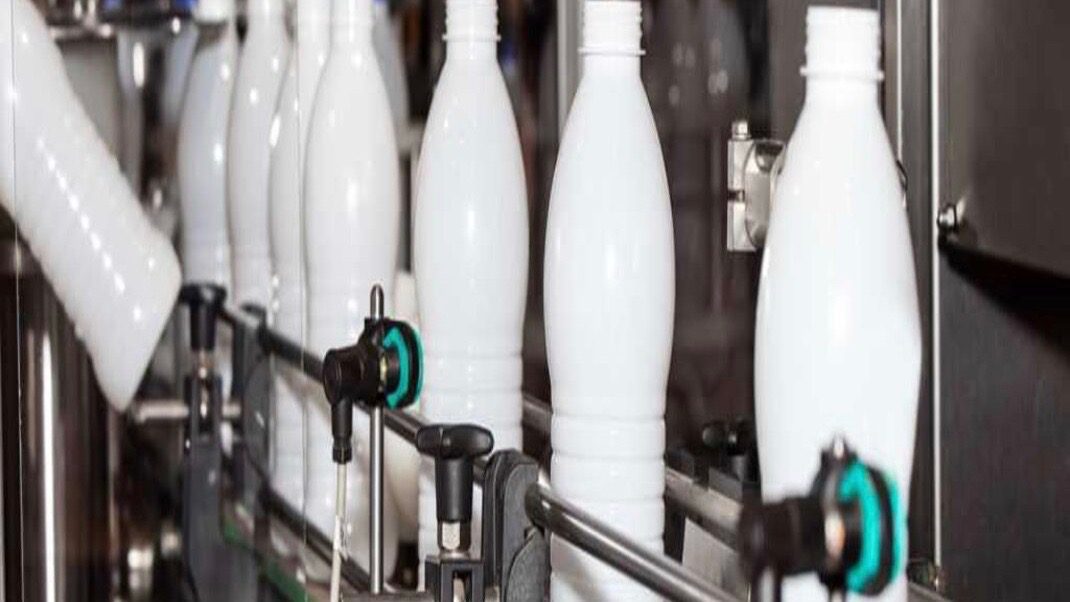 South Africa Dairy workers COVID