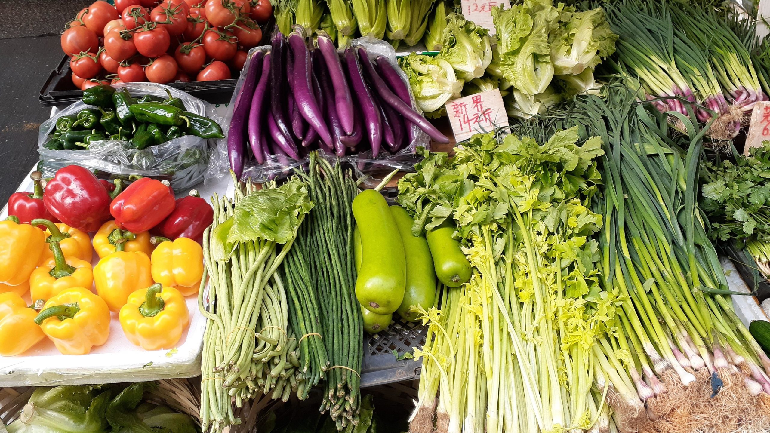 FAO warns about true cost of corporate food systems