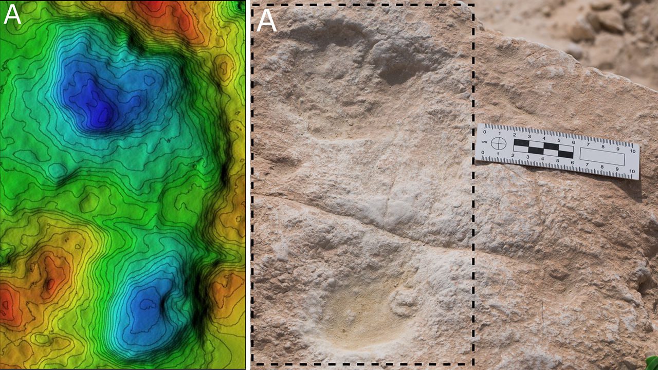 120,000 year-old footprints in Arabian peninsula point to human presence