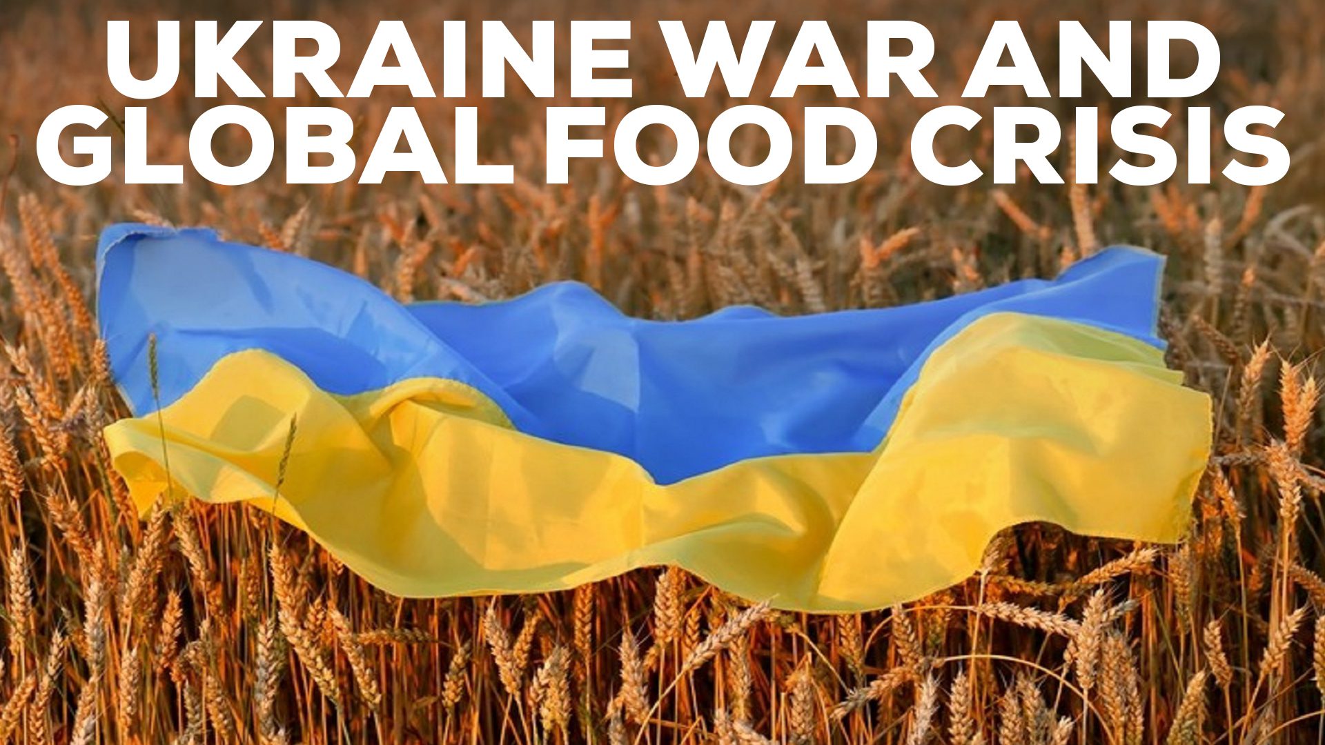 How the Ukraine war has contributed to Global Food Crisis