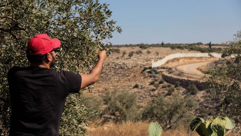 Food sovereignty as resistance in Palestine