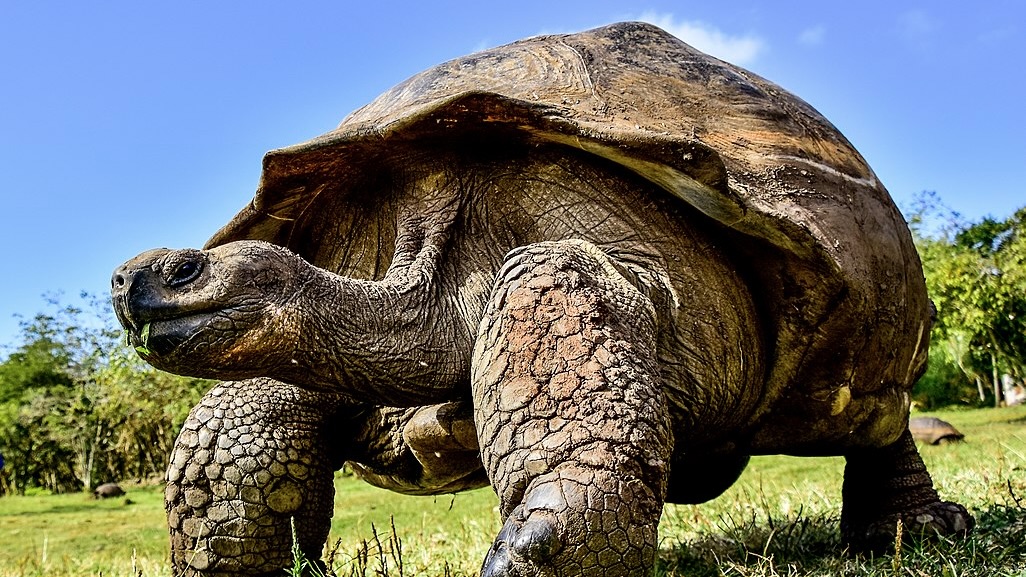 Ecuador’s Galapagos Islands now open to US military