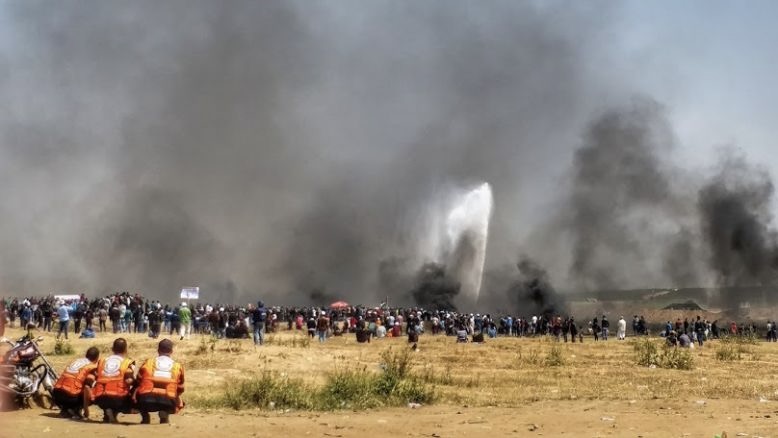 Liberating the land: From Africa to Palestine
