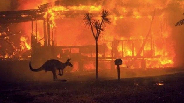 Australian wildfires