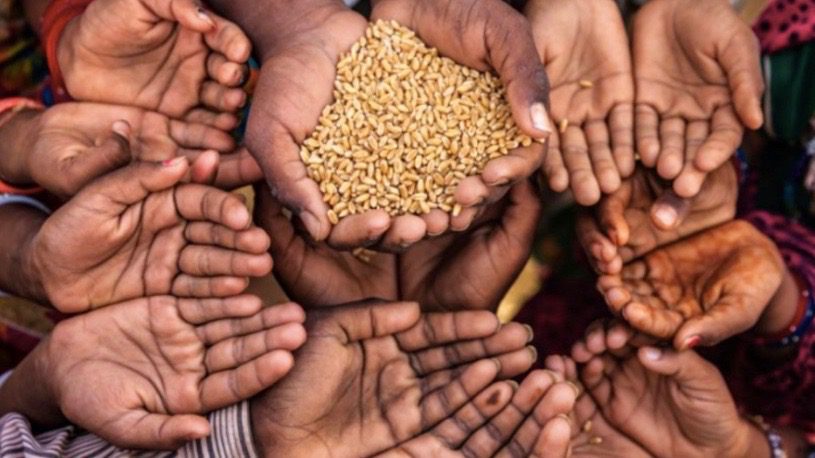 World food crisis