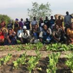 Land as a source of life- a continental reckoning with dispossession and struggle