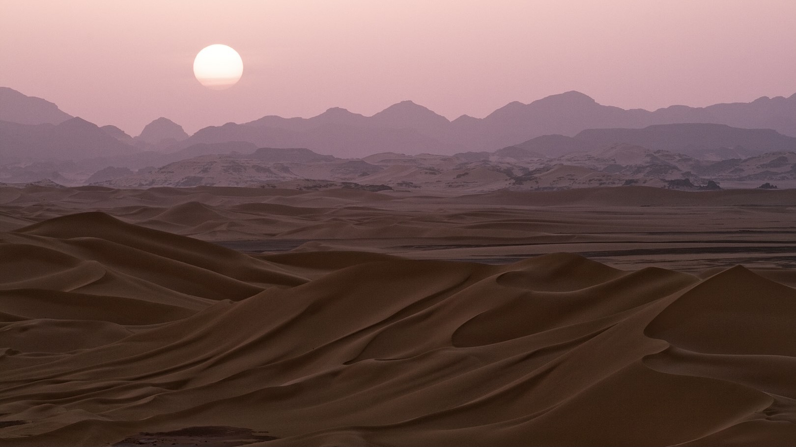 The unremarkable death of migrants in the Sahara Desert