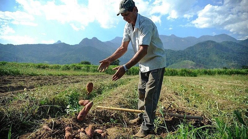 MST presents Popular Agrarian Reform plan to overcome social and economic crisis
