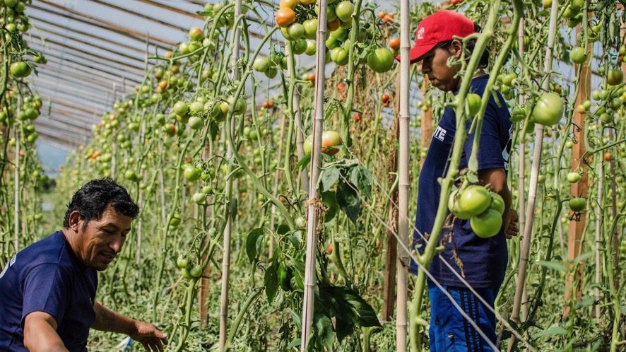 Green belts protection law, a road to food sovereignty in Argentina