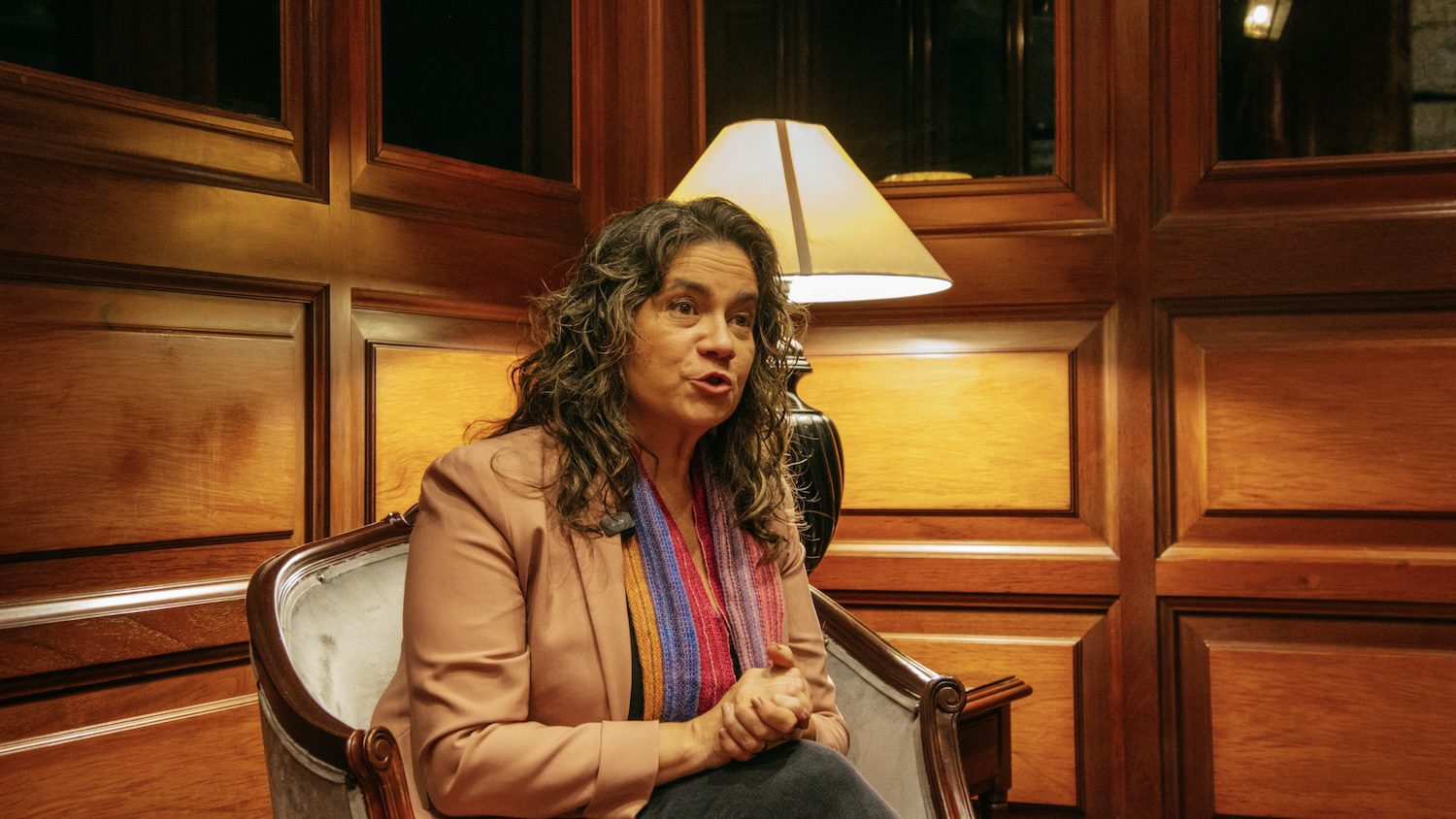 Venezuelan lawyer Olga Álvarez: “Whoever alleges fraud has to prove it”