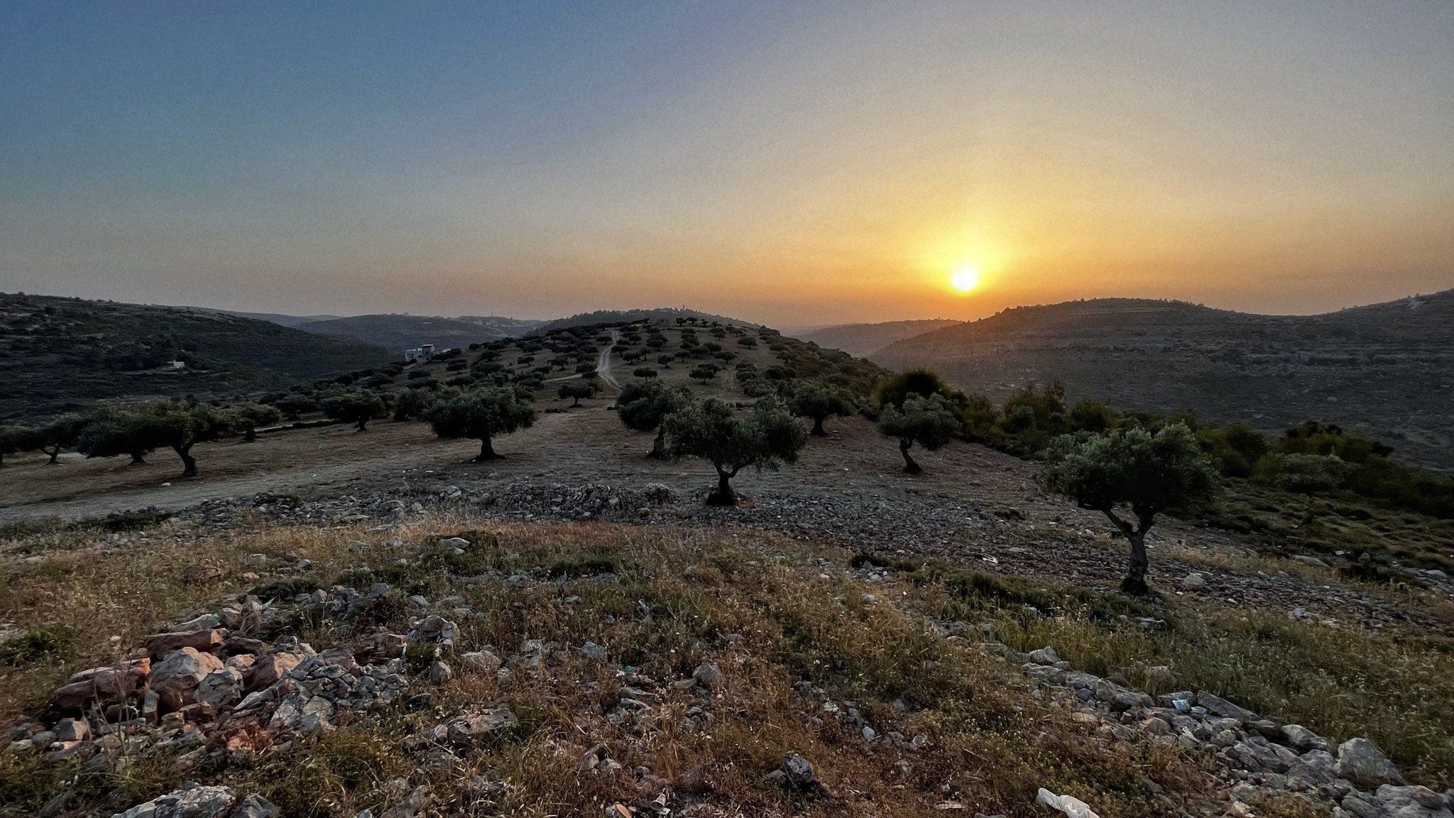 A free Palestine is inevitable