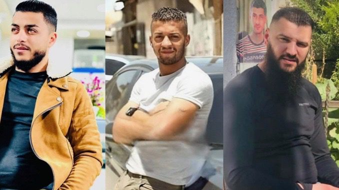 Palestinian deaths