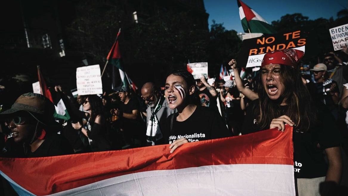 Solidarity activists to stage mass shutdowns for Palestine