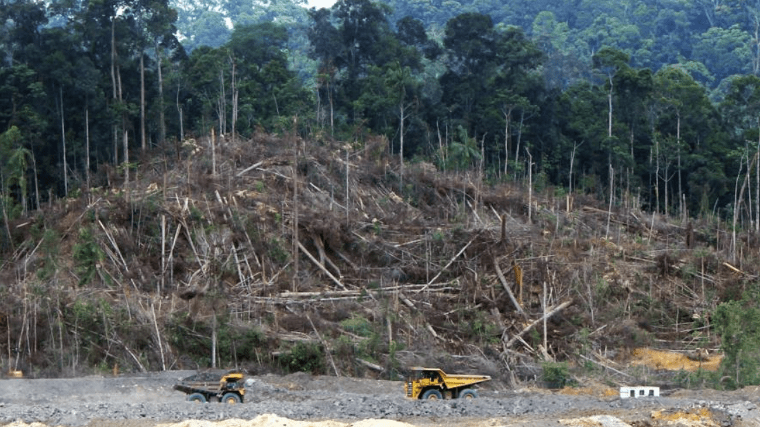 Humans need to value nature more than profit: UN Body