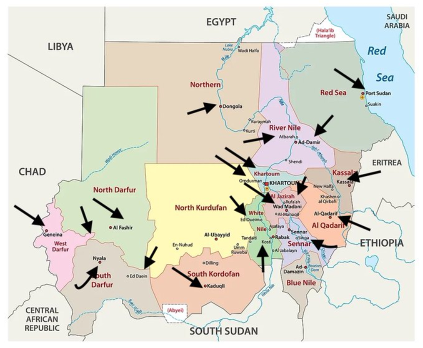 COVID-19: What will our post-pandemic habitat be?