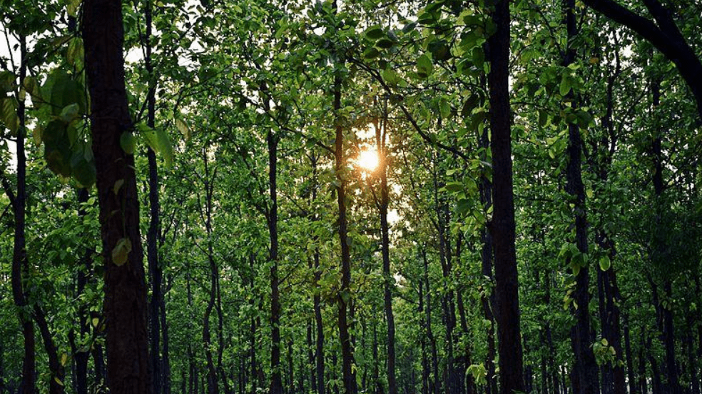 Carbon Dioxide removal behind Paris Agreement target