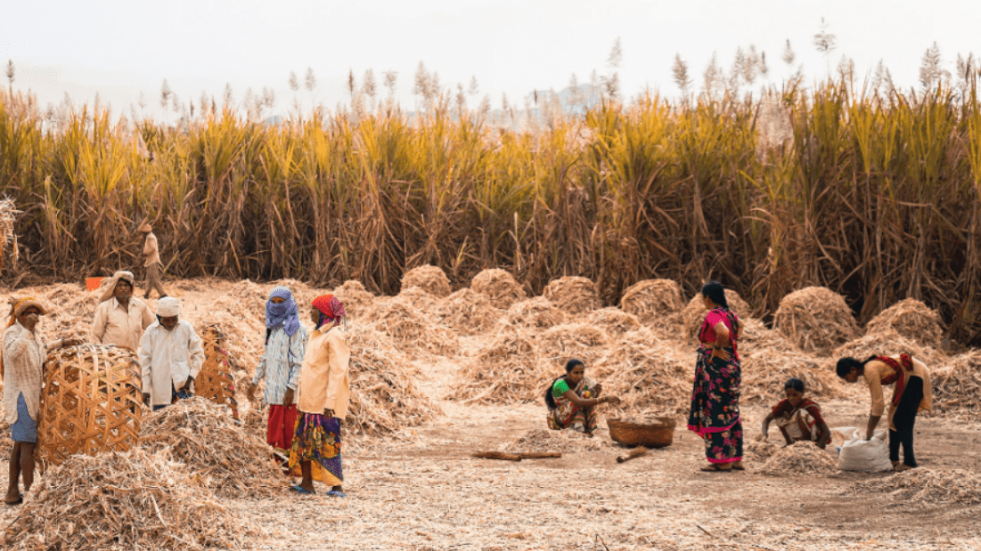 As real wages fall, Indian government remains blind to plight of rural labor
