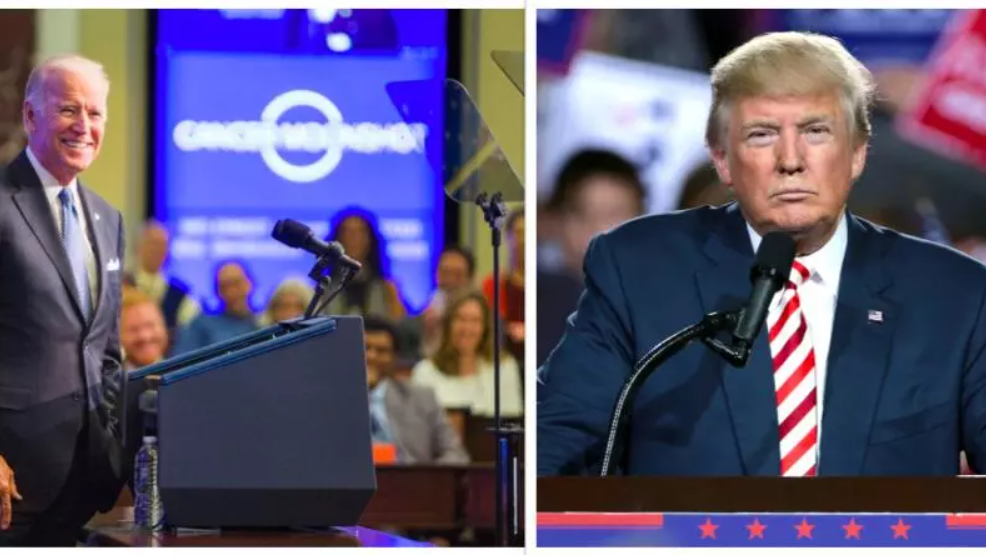 Trump vs Biden: Big businesses pump in big money in costliest ever US Election