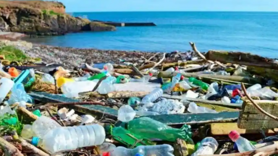 COVID-19 worsened seepage of plastic into oceans