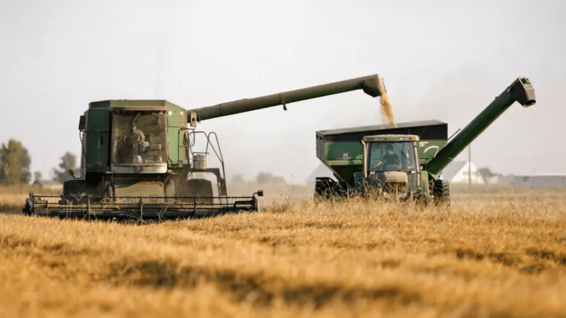 Why agriculture shouldn’t be left to free market