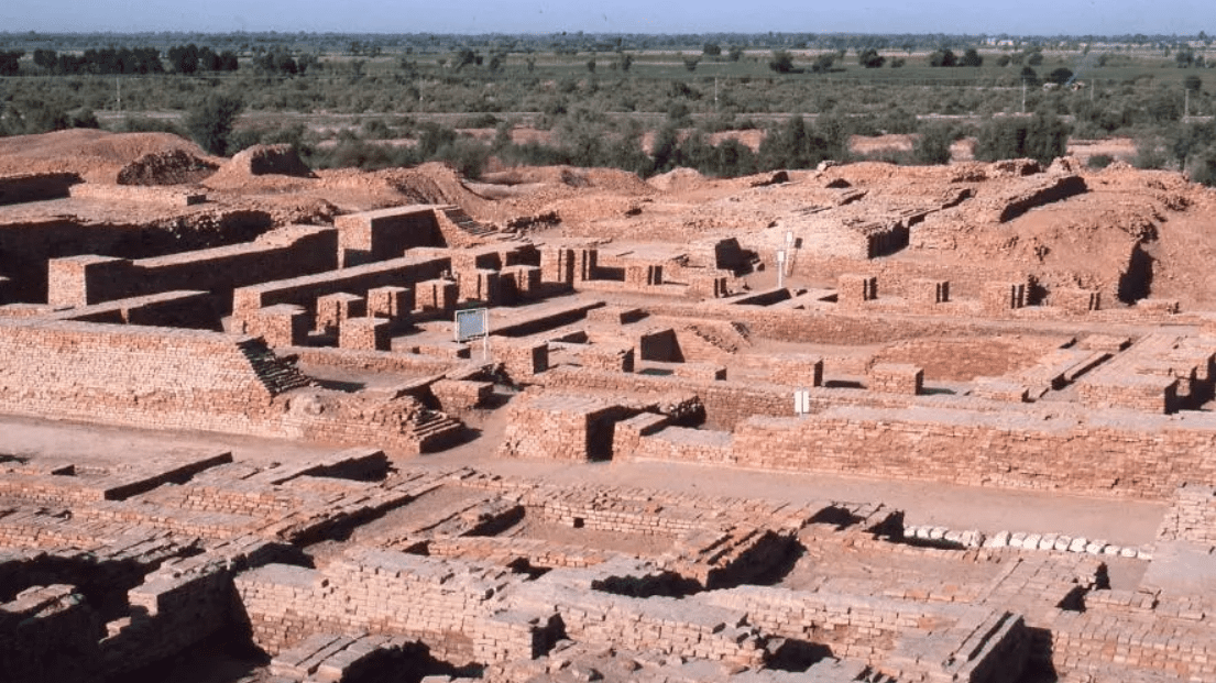 New study says Indus Valley Civilization people ate meat, were especially fond of beef