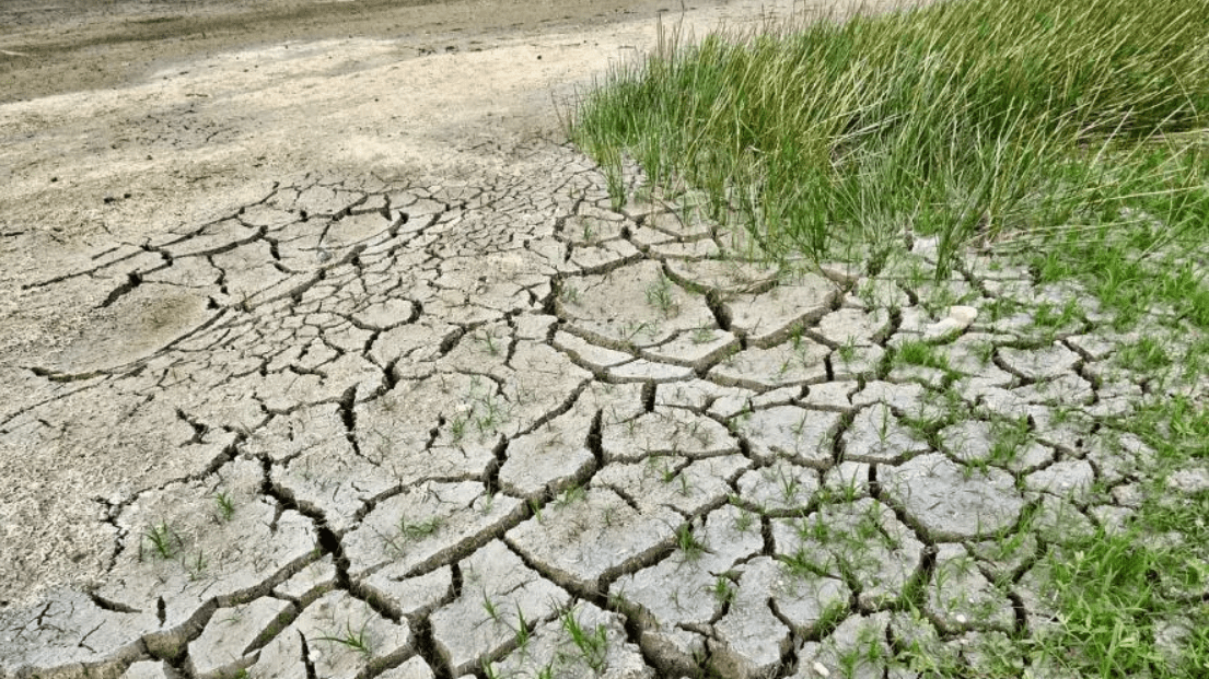 Climate change impacts arid regions of wealthier and poorer countries differently: Study