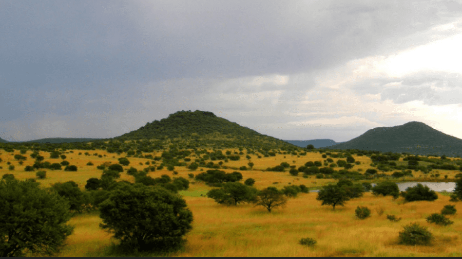 How landscape helped land animals evolve better cognitive abilities than aquatic counterparts