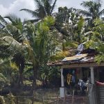 Impact of Cyclone Ditwah in Sri Lanka