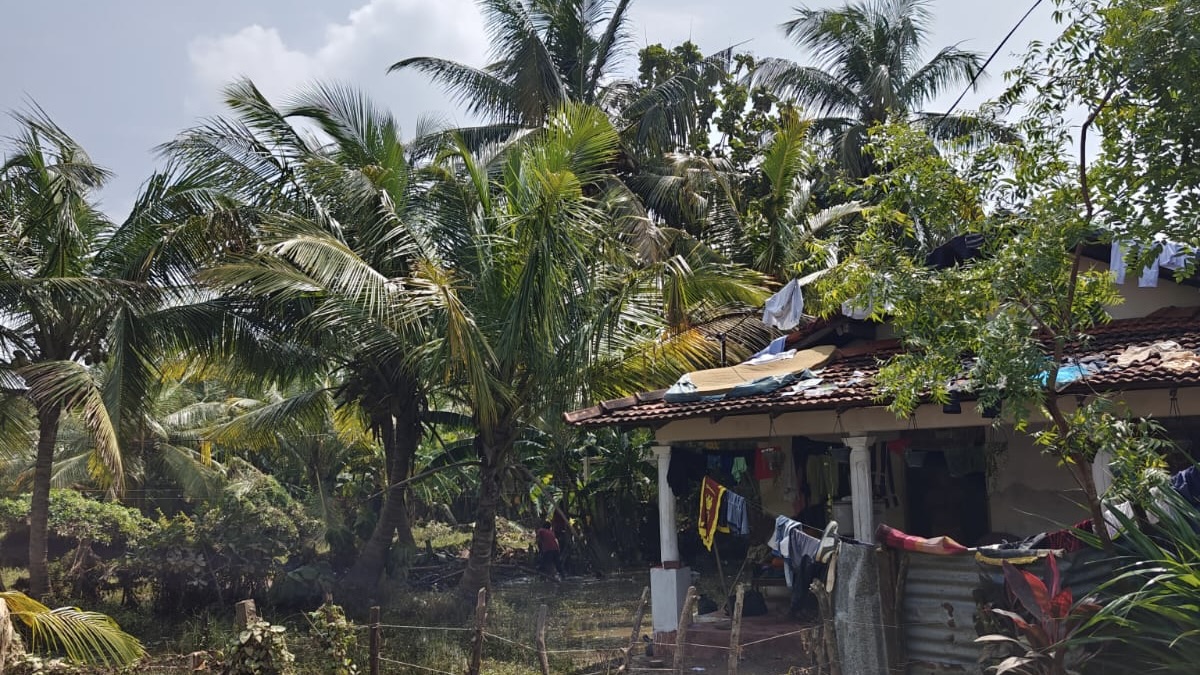 Impact of Cyclone Ditwah in Sri Lanka