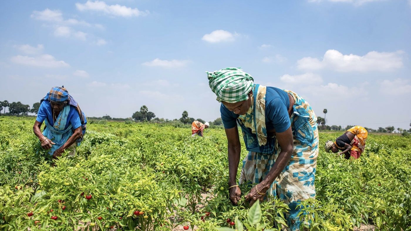 No jobs – unless you want seasonal work in farms