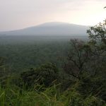Trees and mountains