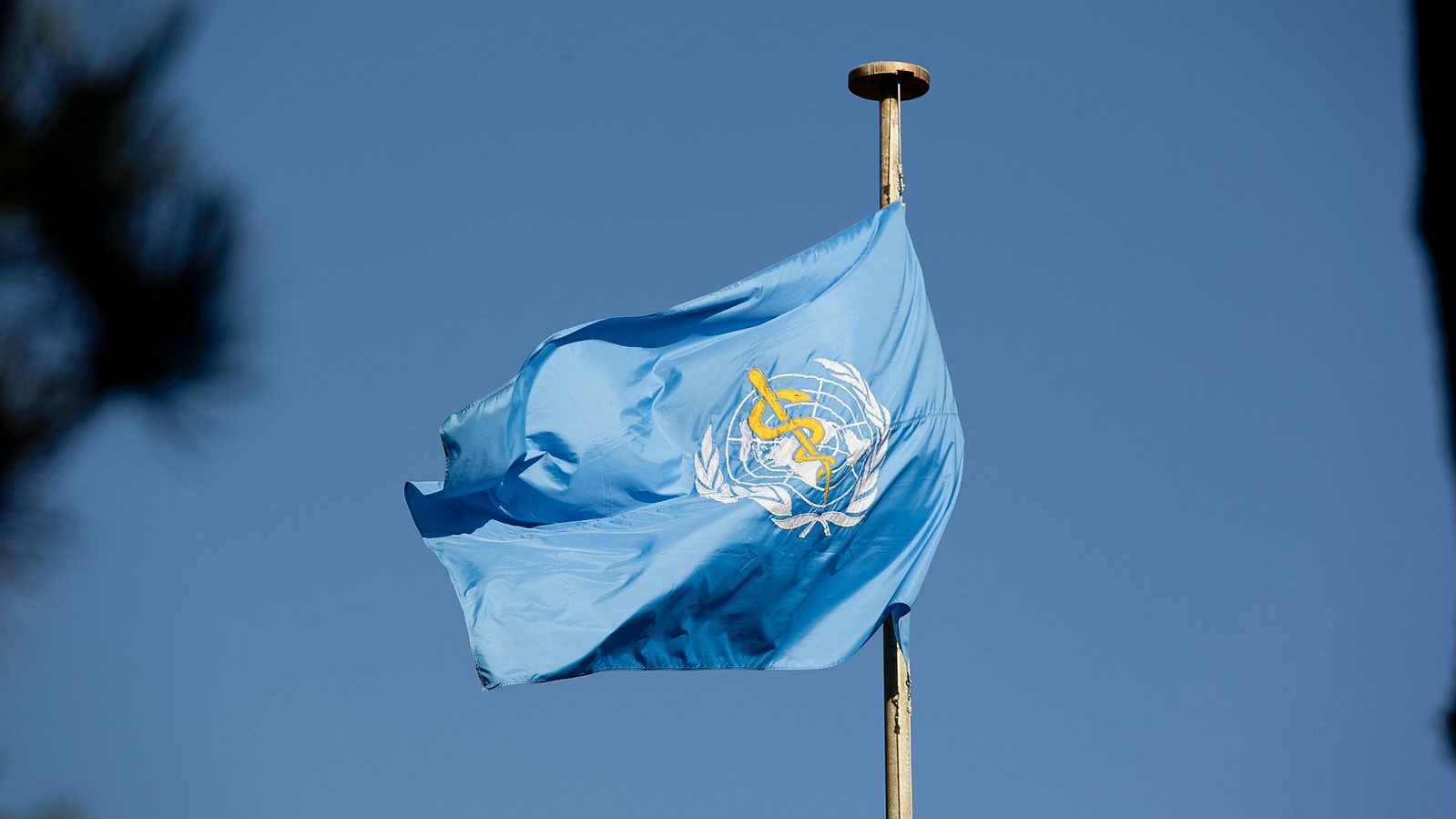What to expect at the 76th World Health Assembly