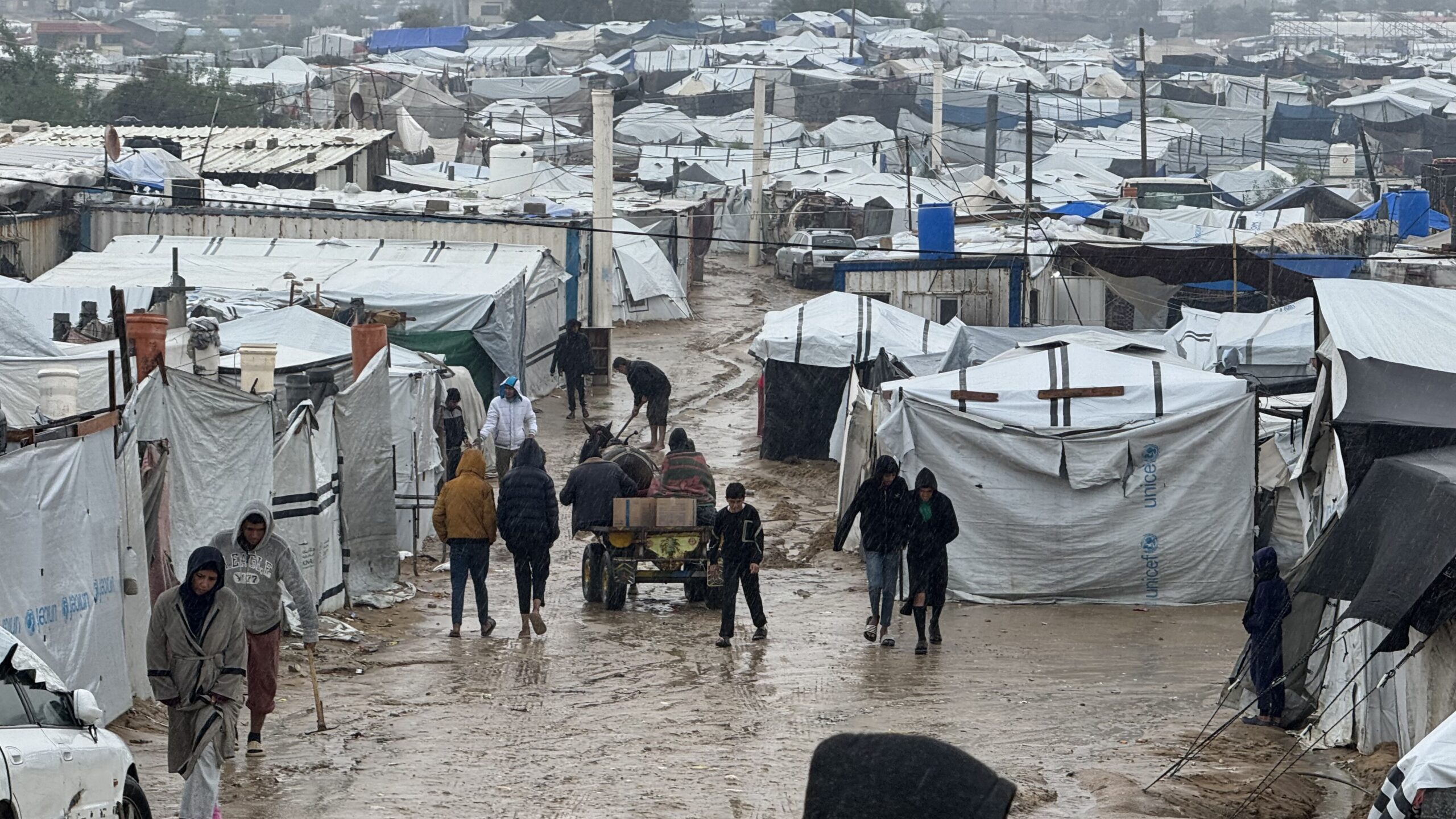 Researchers warn of “de-healthification” in Palestine as infections spread in Gaza