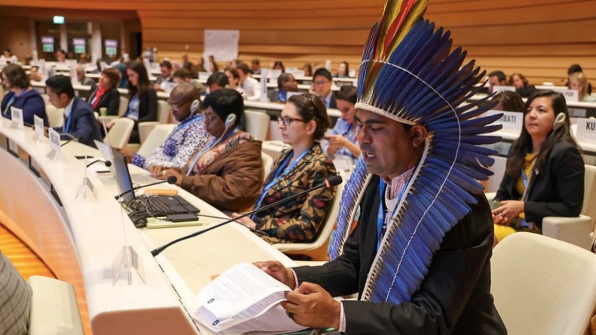 La resolución de la Asamblea Mundial de la Salud sobre la salud de los pueblos indígenas es un momento histórico