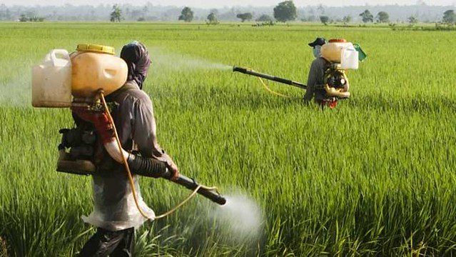 Brazil approved more new pesticides in 200 days than European Union did in 8 years